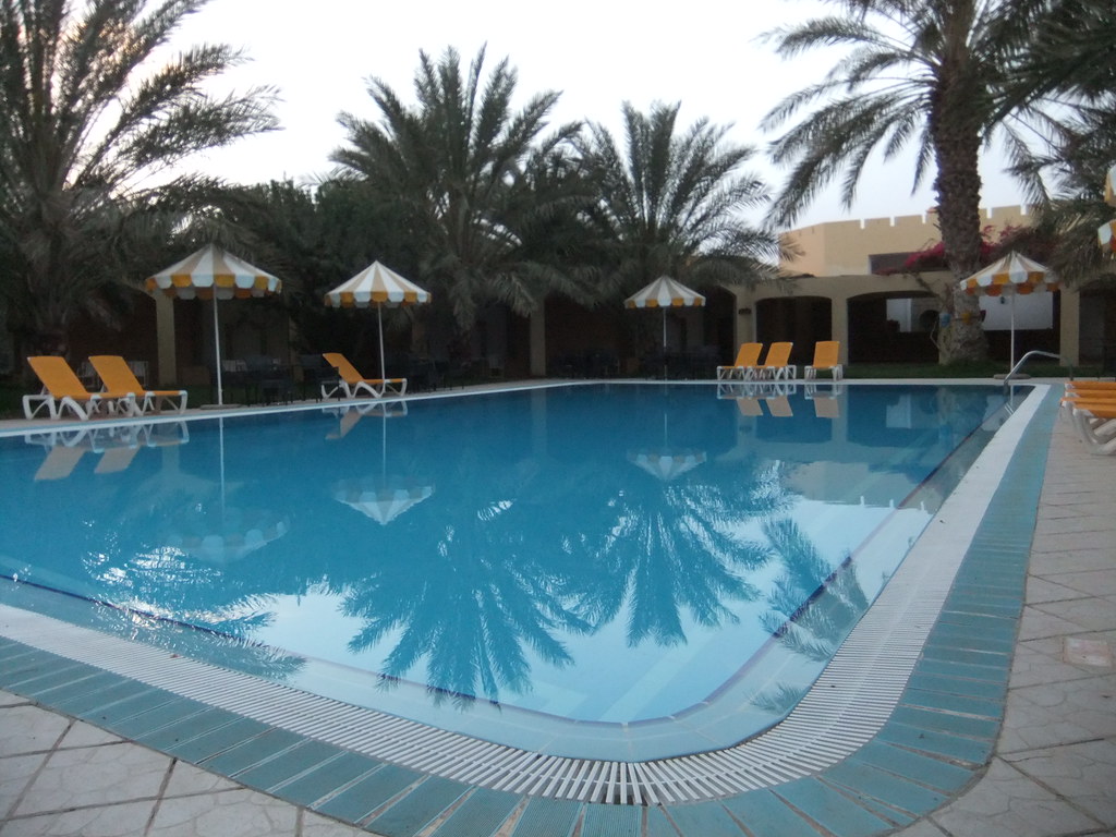 Backyard swimming pool with a smooth blue aggregate finish, illustrating Diamond Brite vs PebbleTec pool surface options for Florida pools